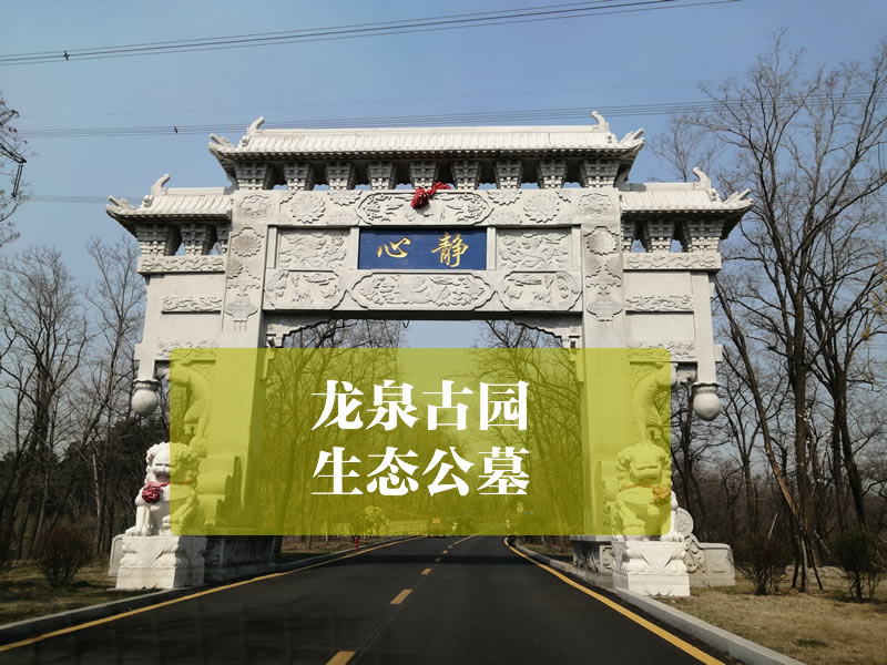 沈阳龙泉古园banner图